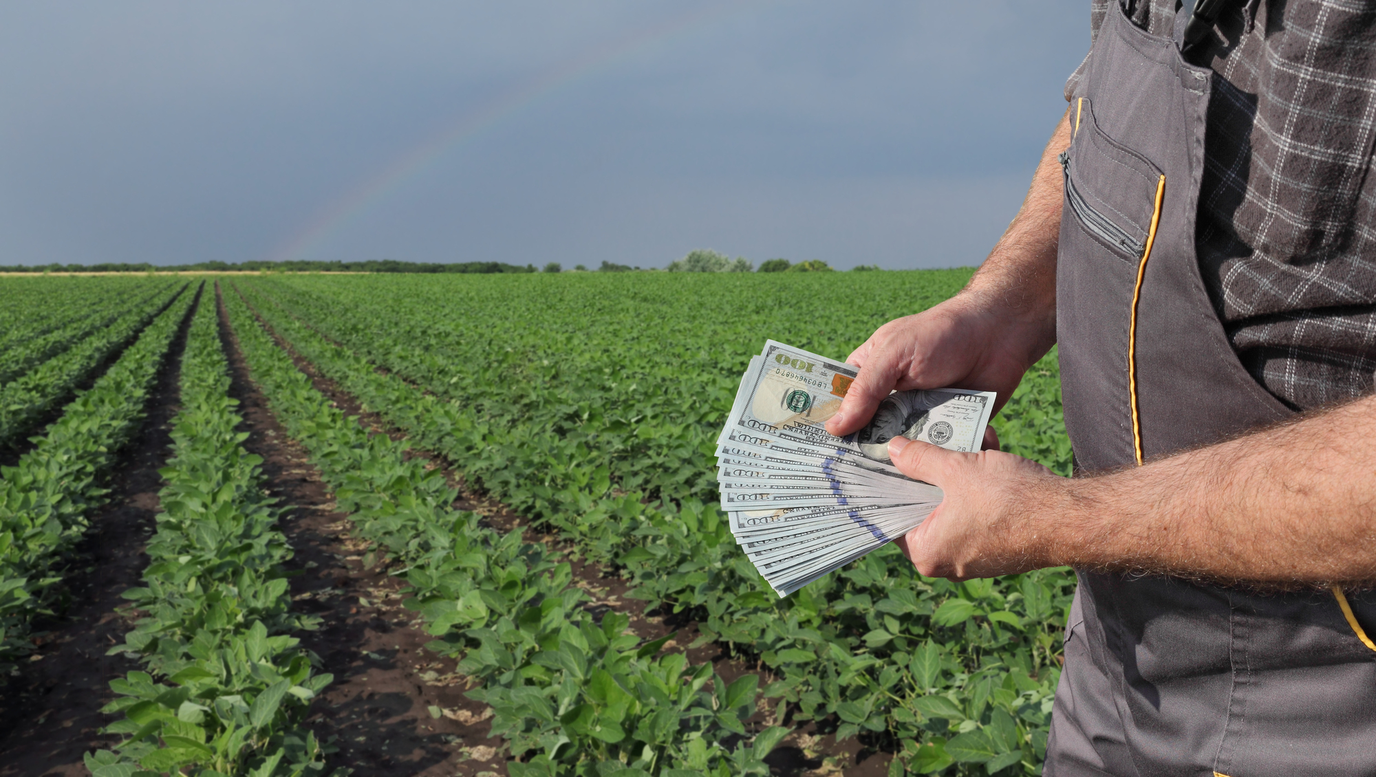 Commodity Groups Advocate for Economic Assistance Amid Farm Bill Delays