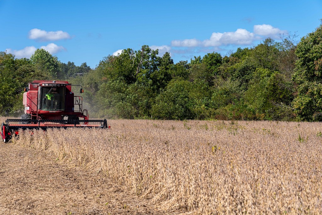 East Arkansas farmers in ‘dire straits’ with low commodity prices, high input costs • Arkansas Advocate