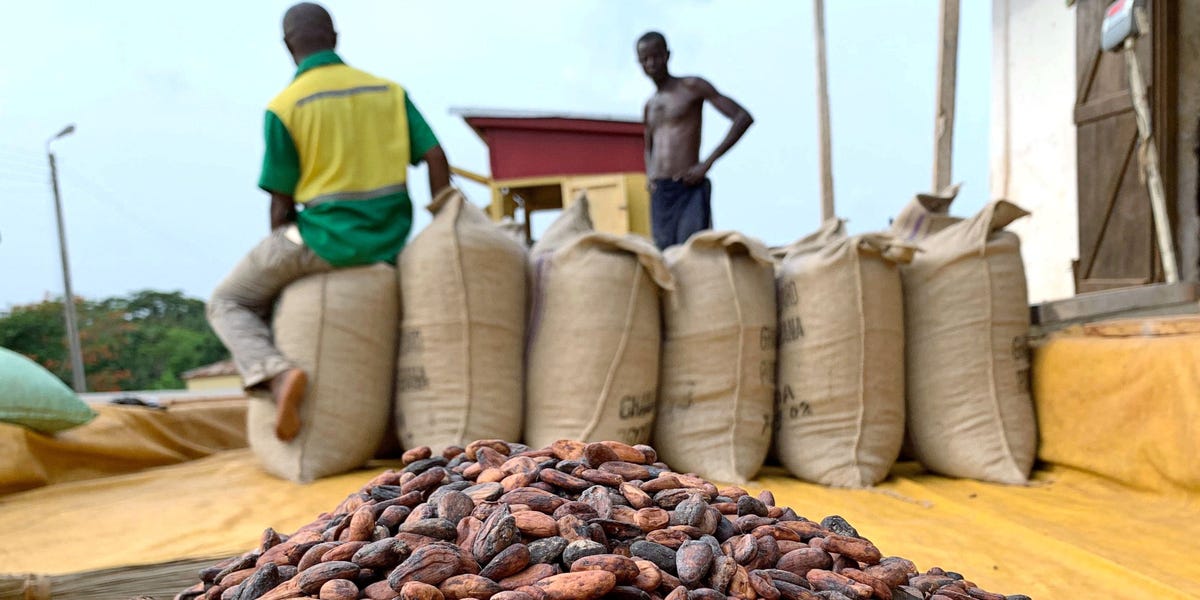 Cocoa Was the Best-Performing Commodity in 2024